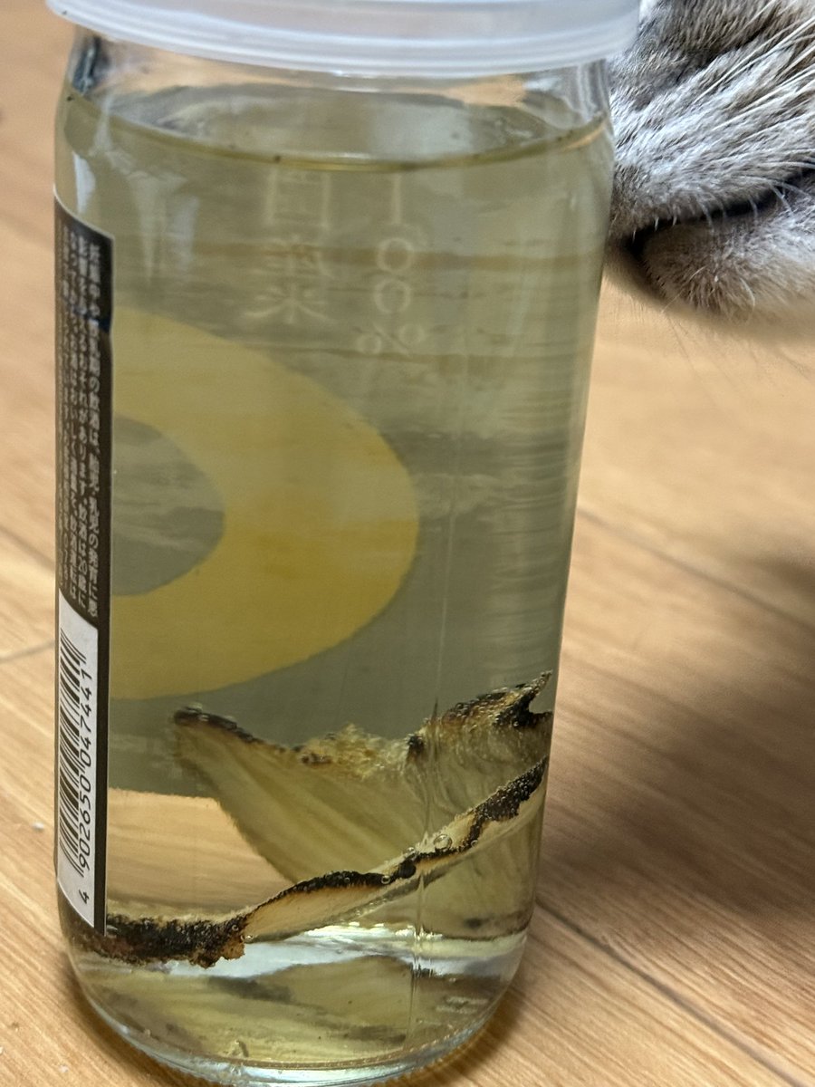 kazuif's tweet photo. スーパーに行ったらトラフグのヒレ売ってたんで久々にヒレ酒🍶にしてみた😊
日本酒は白鶴酒造さんの「白鶴まる辛口」🥰
#日本酒　#白鶴　#ヒレ酒 https://t.co/k7RFZGnKS3