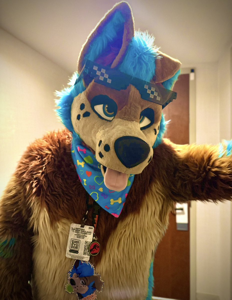 Hey cutie 😎 Its #Fursuitfriday 🤩