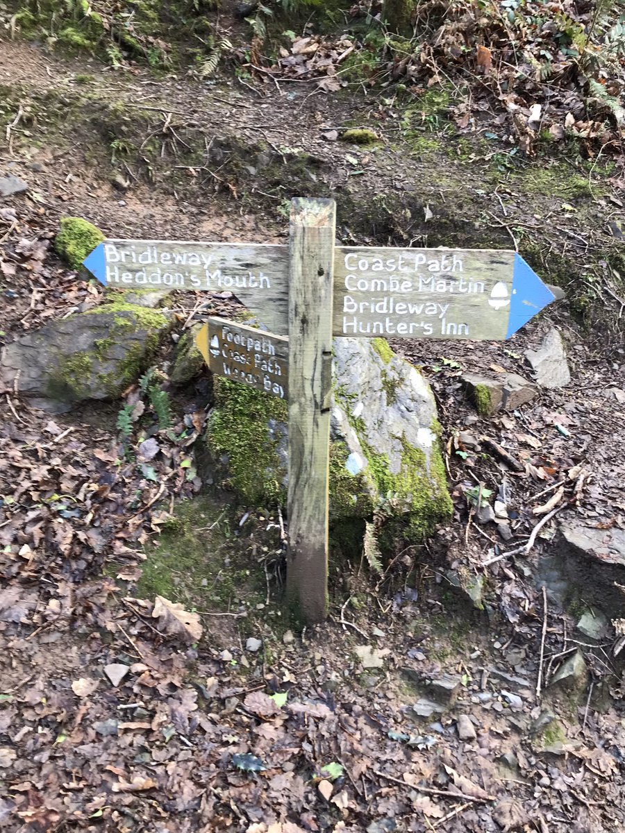 lithopanspermi1's tweet photo. Walked Trentishoe Footpath 6 this morning. https://t.co/n2OZR8yKTO