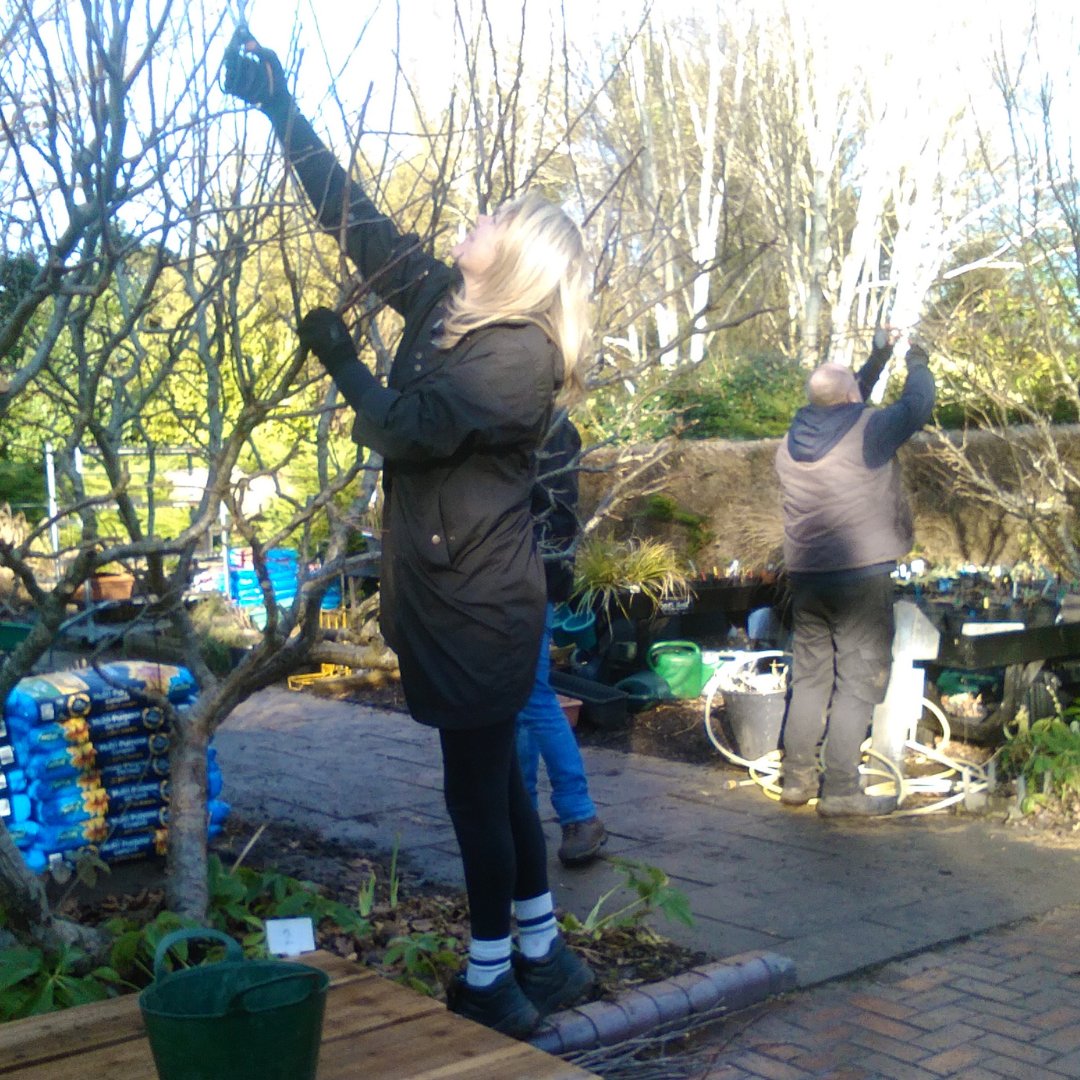 thrivecharity's tweet photo. Thank you to NHS Property Services who joined us for a fantastic corporate volunteering day at Thrive Birmingham! 🌱 Want your company to make an impact in 2025? Volunteer with us in Birmingham, London, or Reading! 👉 https://t.co/n5H8o2BUwq #corporatevolunteering #volunteering https://t.co/6cit8dVDX4