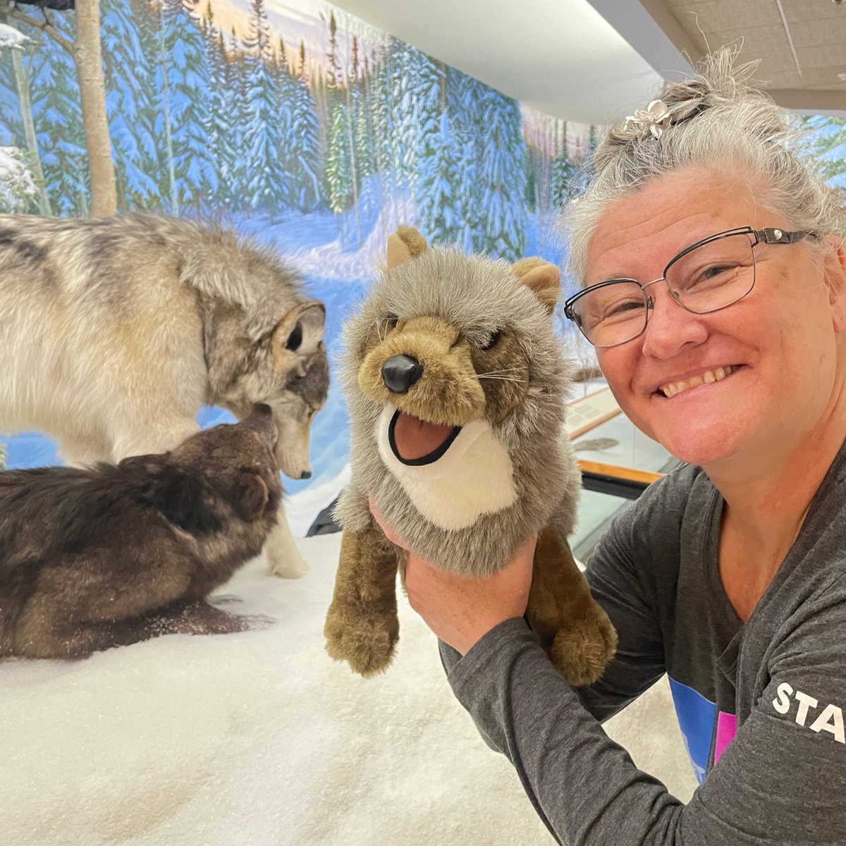 Royal Saskatchewan Museum tweet media