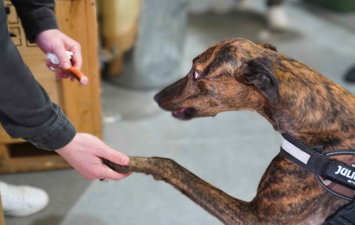 LA Micro Group tweet media