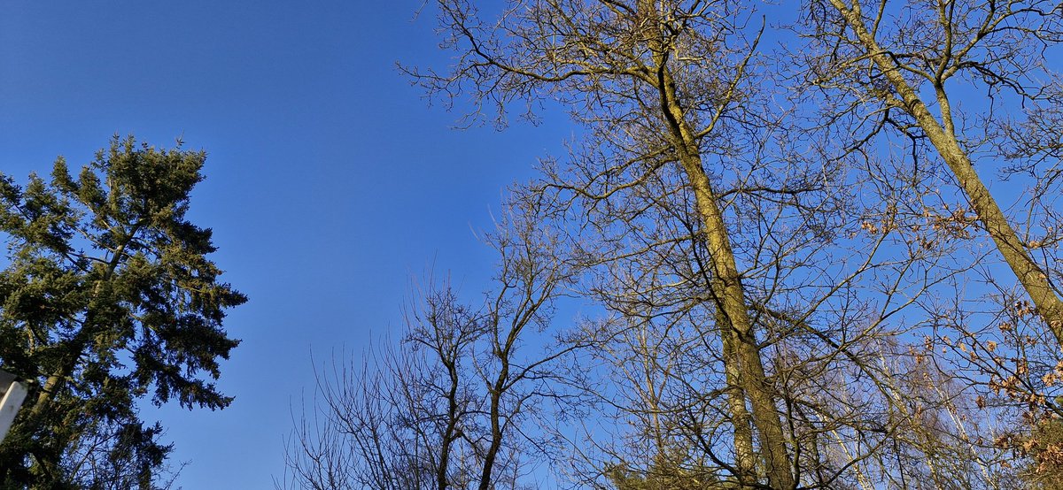 Prachtige lucht hier.❣️
