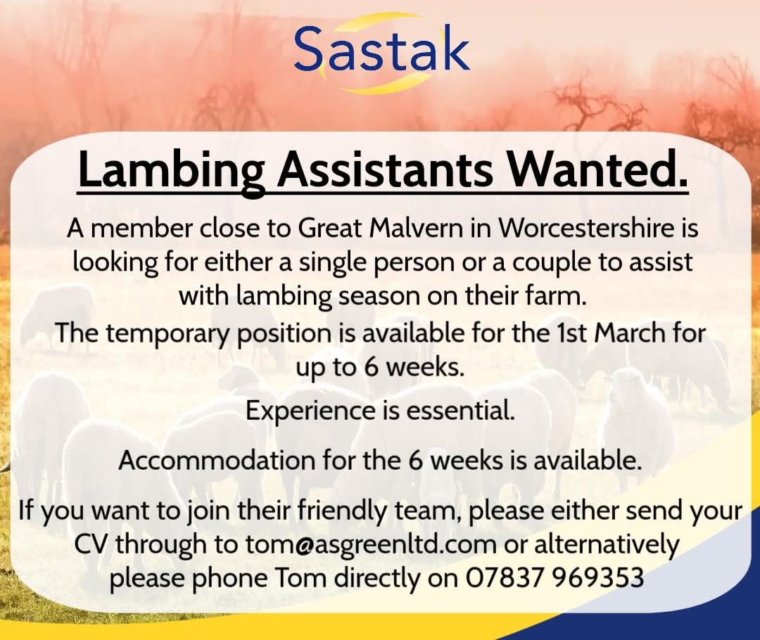 ⭐️Lambing Assistants wanted near Great Malvern, Worcestershire⭐️
A member is looking for help with Lambing from the 1st March for 6 weeks.
Accommodation available.
Please contact Tom directly on 07837 969353 or email your CV through to tom@asgreenltd.com