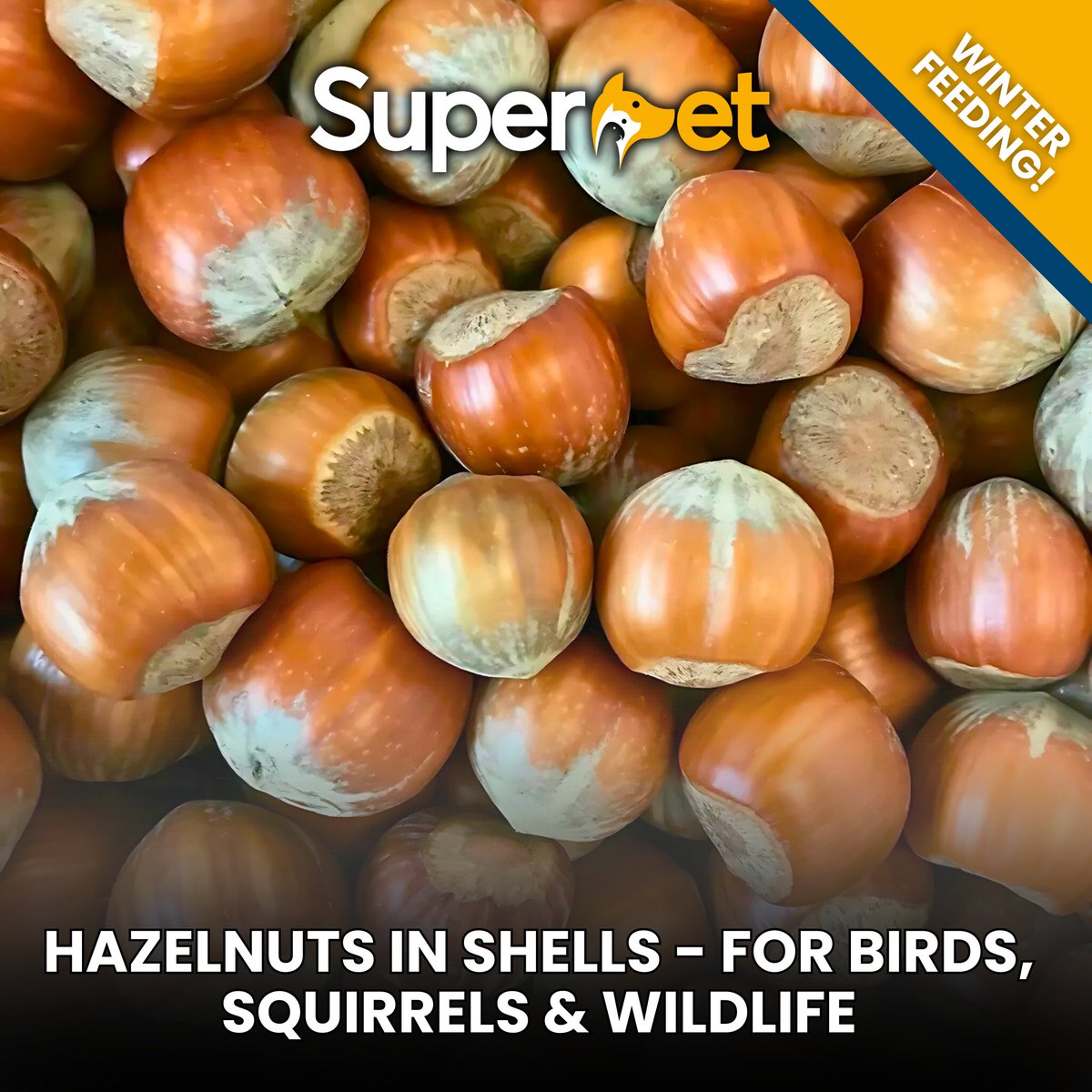 🌰 Hazelnuts in Shells – Perfect for Wildlife! 🐦🐿️

✅ Nutritious &amp; great for squirrels’ teeth.
✅ Available in sizes from 250g to 25kg.

🛒 Shop now: ow.ly/g35T50UM6ZS

#Hazelnuts #WildlifeFood #GardenBirds #Squirrels #EcoFriendly #Superpet