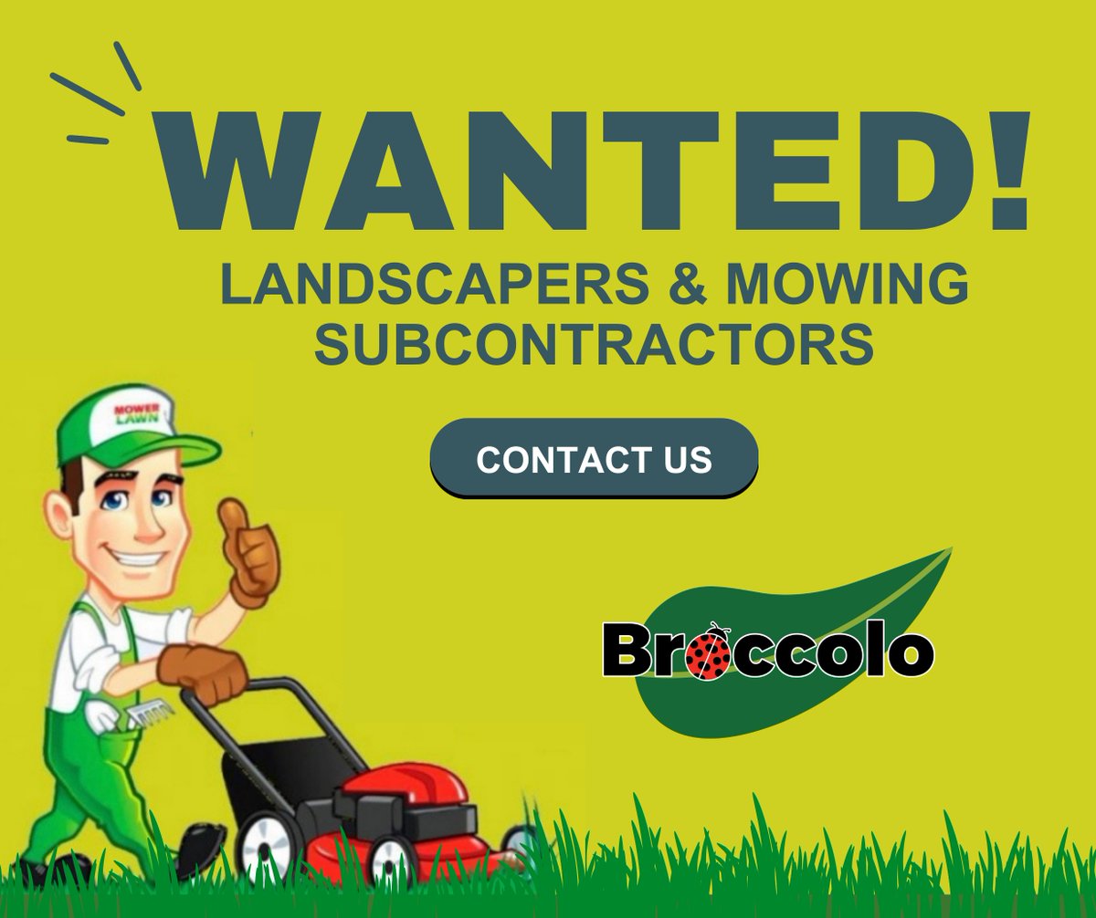 BroccoloLadyB tweet media