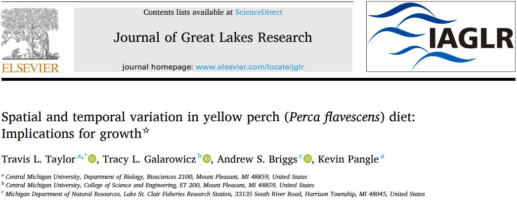 🌶️🔥HOT OFF THE PRESS🔥🌶️

New paper on #YellowPerch diets, comparing diets in #LakeStClair to nearby #GreatLakes waters and to historical diets in Lake St. Clair. Perch growth has declined in Lake St. Clair, and diets have shifted since the 90s.
sciencedirect.com/science/articl…