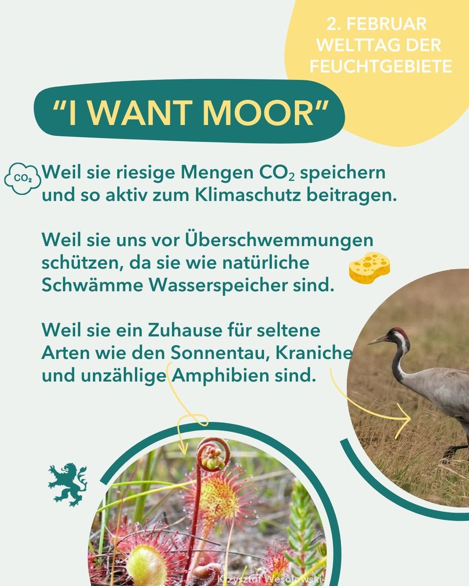 UmweltHessen's tweet photo. Heute ist der Internationale Tag der Feuchtgebiete! Feuchtgebiete wie Moore spielen eine zentrale Rolle im Klimaschutz, der Wasserspeicherung und dem Erhalt der Biodiversität. MOOR dazu im Beitrag. #Feuchtgebiete #Hessen https://t.co/JoUA3rmTUA