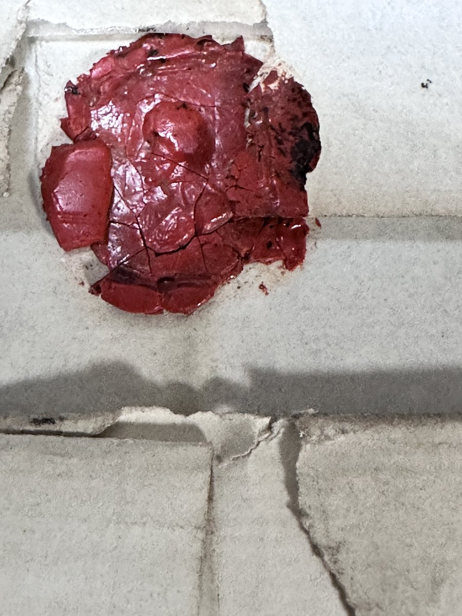 Following The Lights tweet media