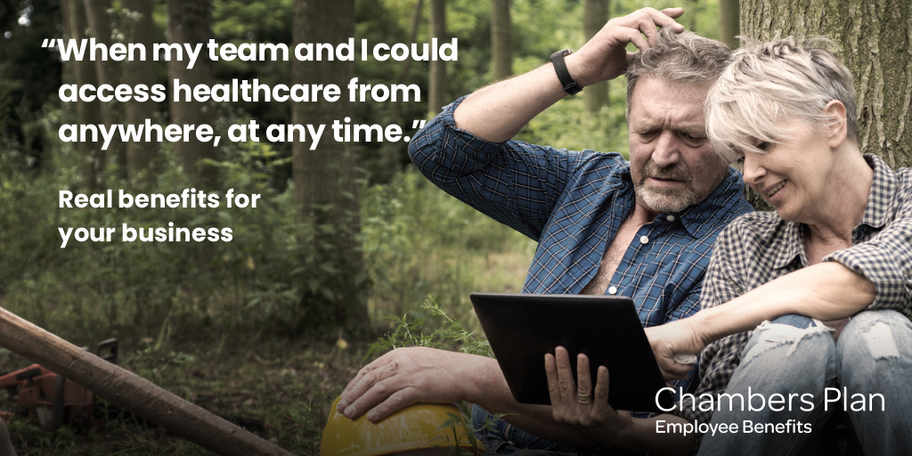 Chambers Plan Ontario tweet media