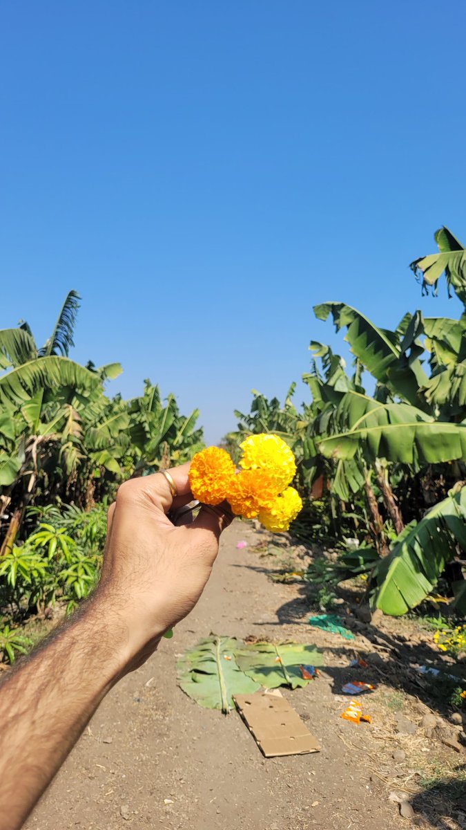 ShreyasUdavant's tweet photo. Touched some grass 🍃
N water too 💧
At @kunalbhoi_ 's town 
Bestest place https://t.co/OeSMgOVAcx