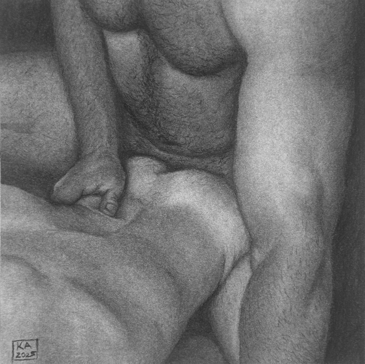 “Bear Fuck.” 12 x 12 in. Charcoal.