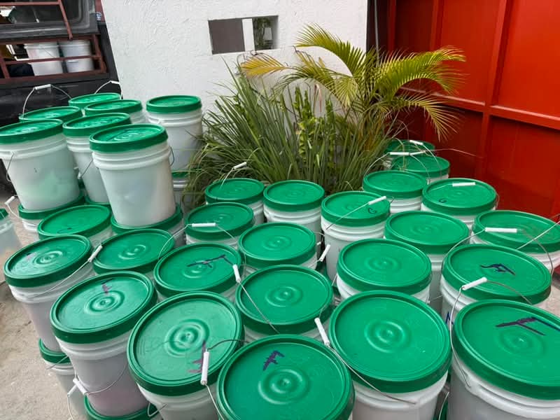 Avec l’appui de <a href="/SavetheChildren/">Save the Children US</a>, KRIFA a réalisé une distribution de kits d’hygiène dans les sites de déplacés, Collèges Antilles et ONA. Cette activité s’inscrit dans le cadre du projet de Prévention et Prise en charge psychosociale des Enfants dans les sites de déplacés.