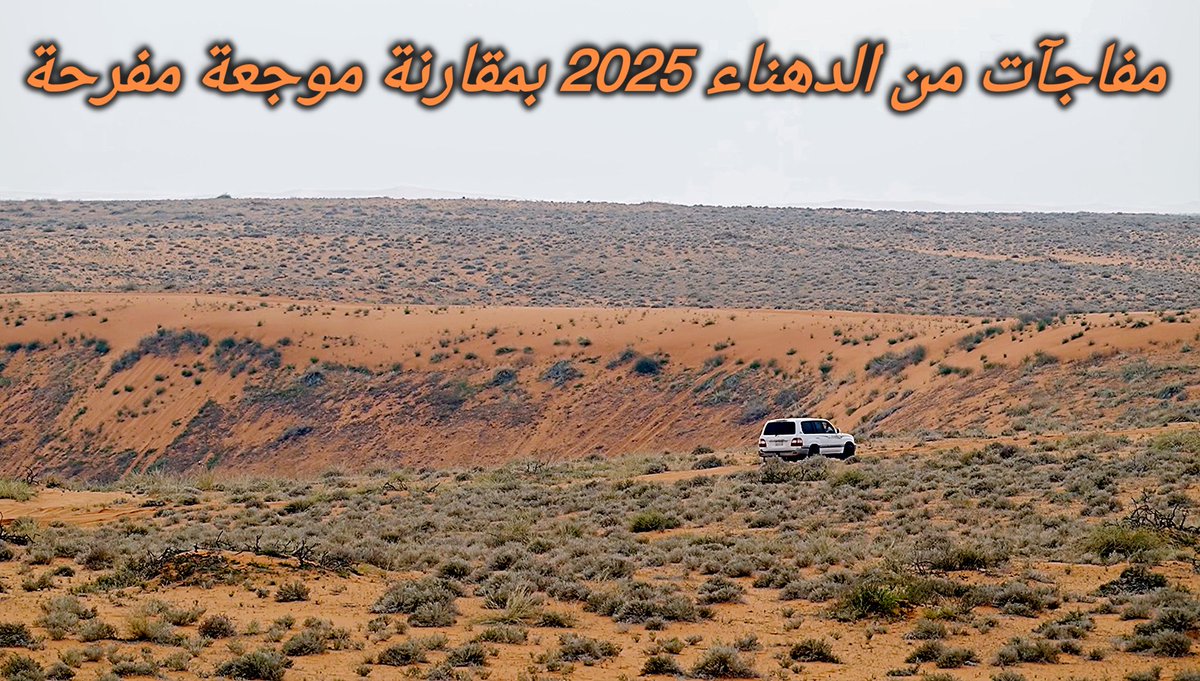 MohdAlyousefi's tweet photo. مفاجآت سارّة من الدهناء مع مطلع عام 2025م.. فيها مقارنة موجِعة مُفرِحَة!

تزدهر الحياة البرية في تصاعد سيُسعد عشّاقها والمهتمين بها..

مشاهد الطبيعة مصوّرة هذا الأسبوع.. مع طيور بما فيها حبارى "خِرْب" يؤدي استعراض الغزل للأنثى.. في فيديو بهذا الرابط:

https://t.co/h5PEGn218i https://t.co/adYPz81Bn3