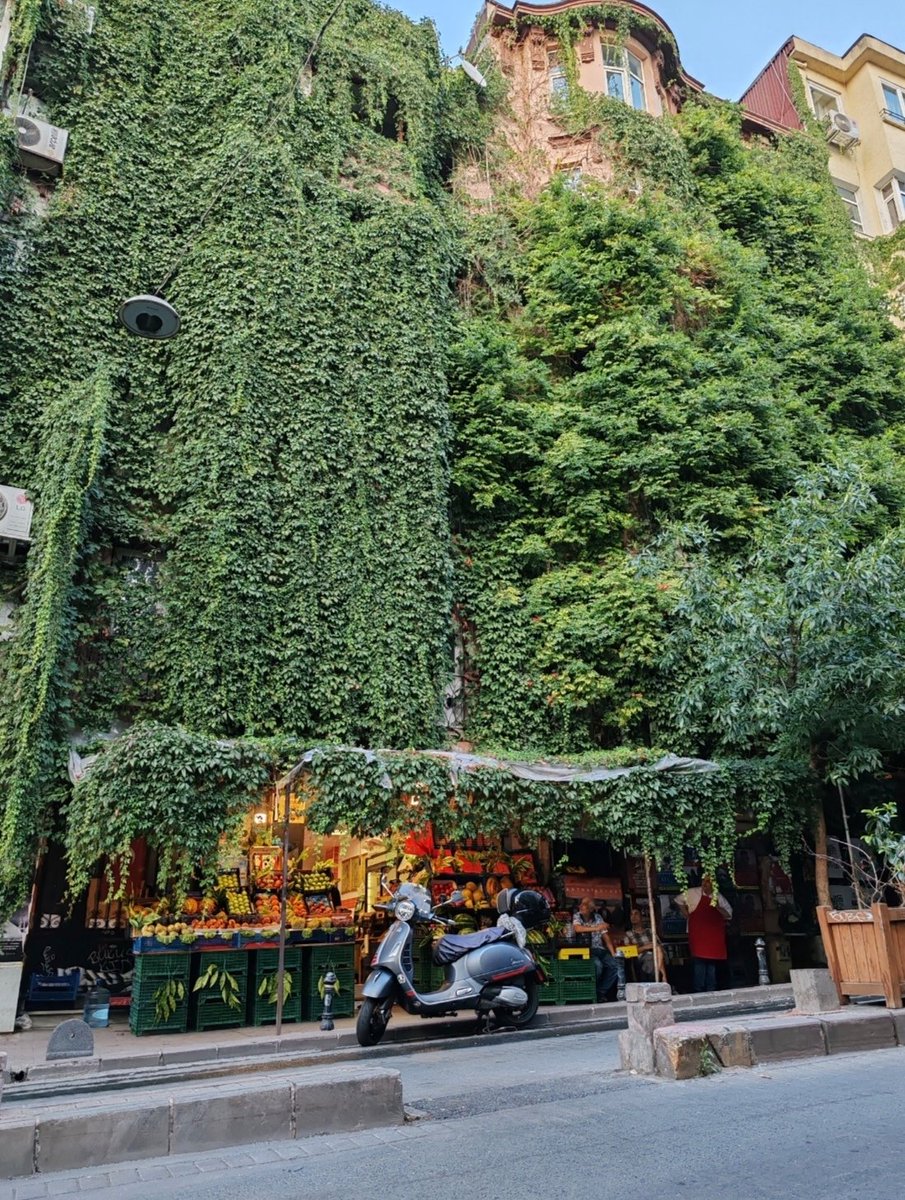 myasirasrak's tweet photo. Ne dem baki ne gam baki apartmanı, Cihangir, Beyoğlu/İstanbul https://t.co/gF0wPZ4z3V