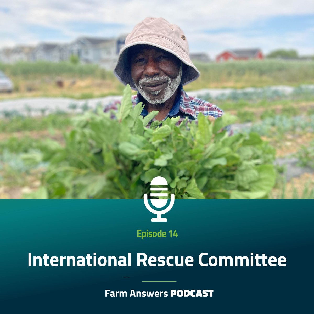 FarmAnswers's tweet image. Tune in to the newest episode of the Farm Answers podcast where we chat with Aley Kent of the International Rescue Committee to learn more about their hands-on training, incubator plots, and farmer-to-farmer training events for beginning farmers.

farmanswers.captivate.fm