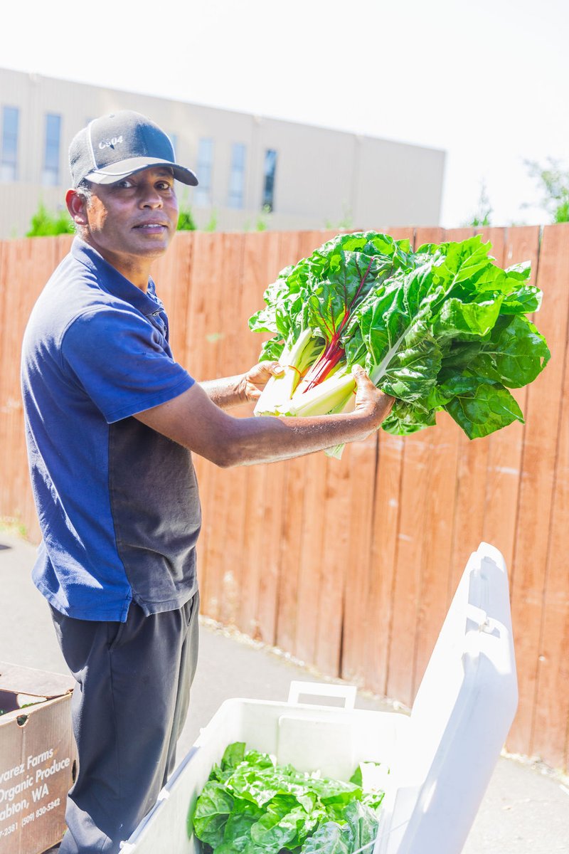 FarmAnswers's tweet image. Record keeping is essential for beginning farmers and the International Rescue Committee is working with their beginning farmers to adopt good crop and financial record keeping practices.

Learn more about the IRC on the Farm Answers podcast at farmanswers.captivate.fm.