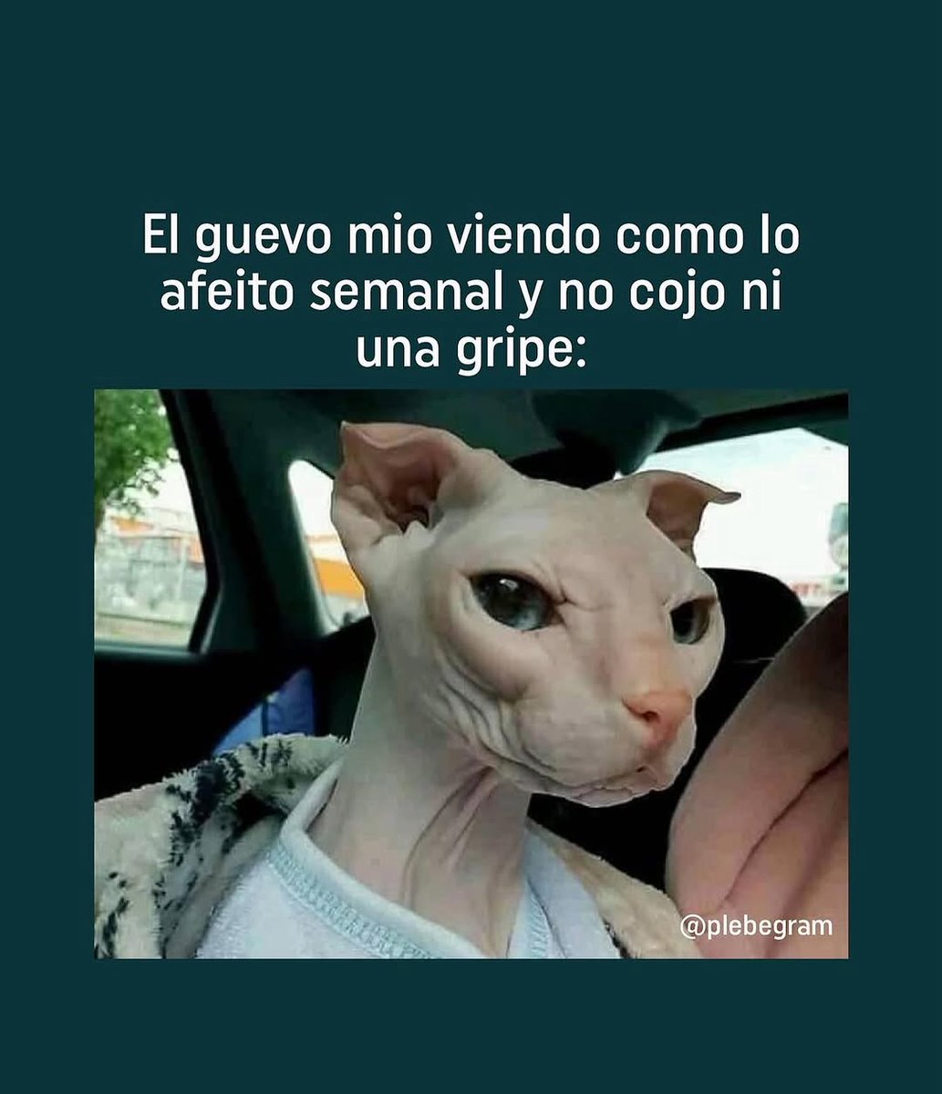 Rafi Sánchez (@elchicoperlahot) on Twitter photo 