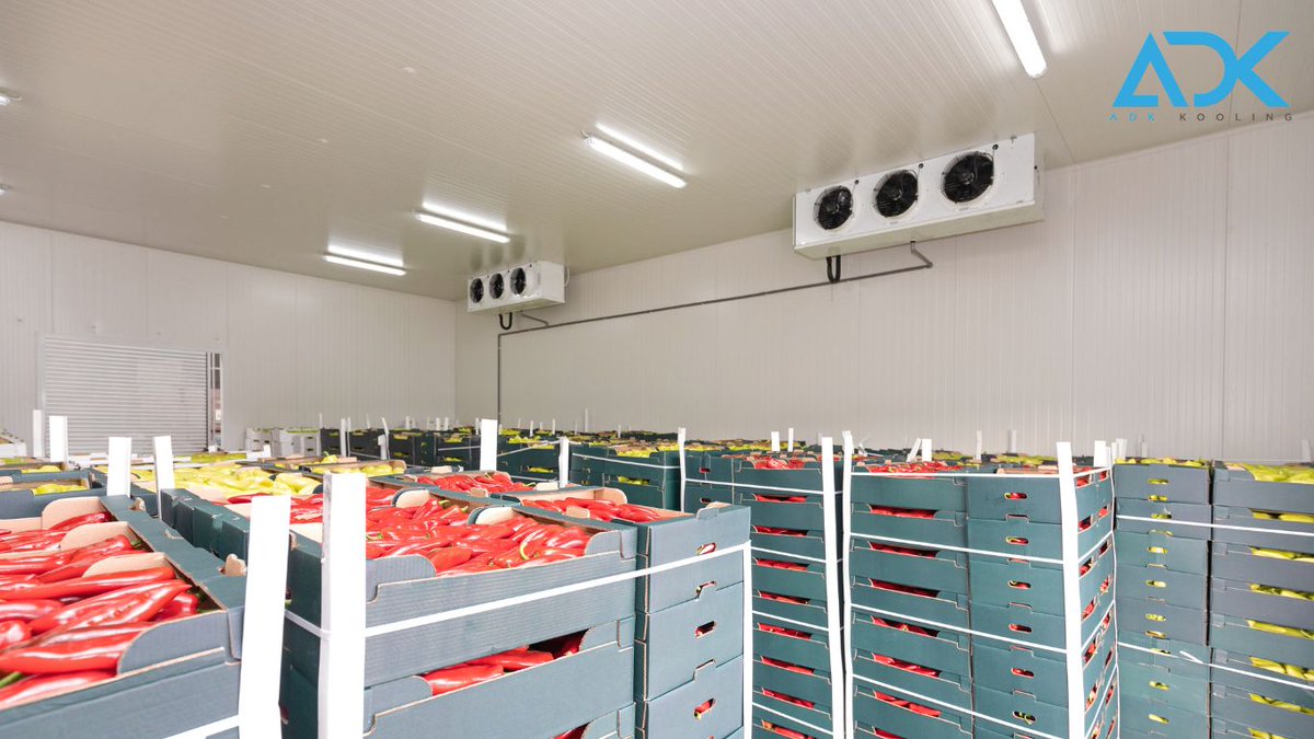Ensure your kitchen operates efficiently with ADK Kooling’s expert cold room installation UK services. We provide industry-leading cold storage technology for restaurants, pubs, and cafés, helping businesses maintain high food safety standards while reducing waste.
📞 Contact us!