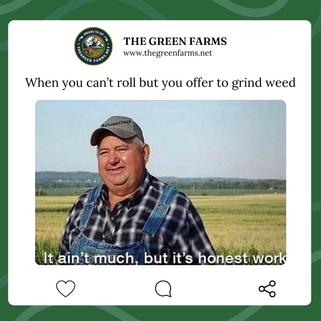 the_green_farms's tweet image. Me contributing to the sesh in my own special way. 💚💨
#thegreenfarms #canadawideshipping #BCfarms #weedlovers #cannabisclub #cannabisindustry #cannabiscommunity #cannabisculture #weed #weedmob #420friendly #stonerfam #420fam #ouieed #Mmemberville #weed #cannabis