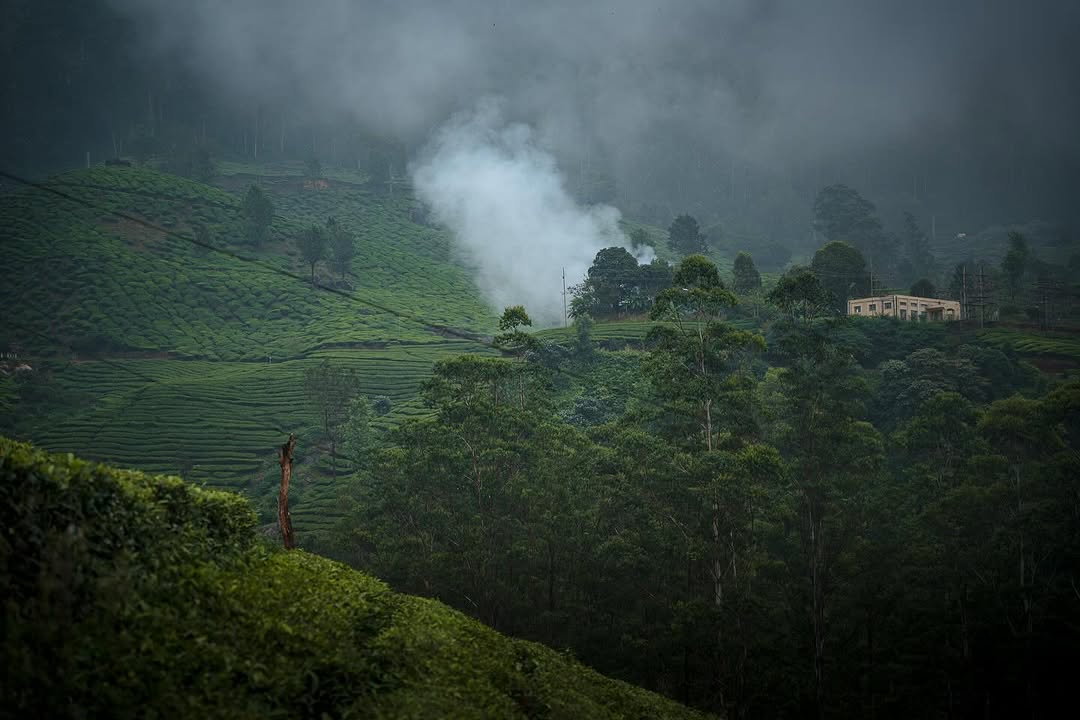 "A play area with the most breathtaking view in the world! !"

A wonderful caption and post from our cherished guest!
blankethotelandresorts.com 

#blanketmunnar #luxuryresort #luxuryhotel #munnar #attukadwaterfalls #munnarhills #teaplantations #incrediblestays #keralatourism