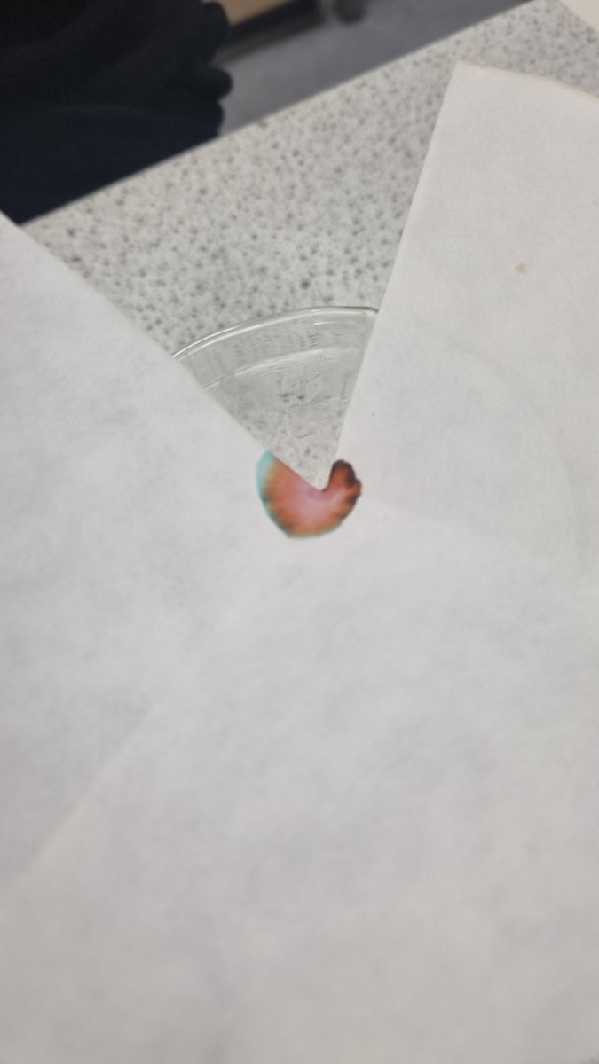 St Matthew's Science tweet media