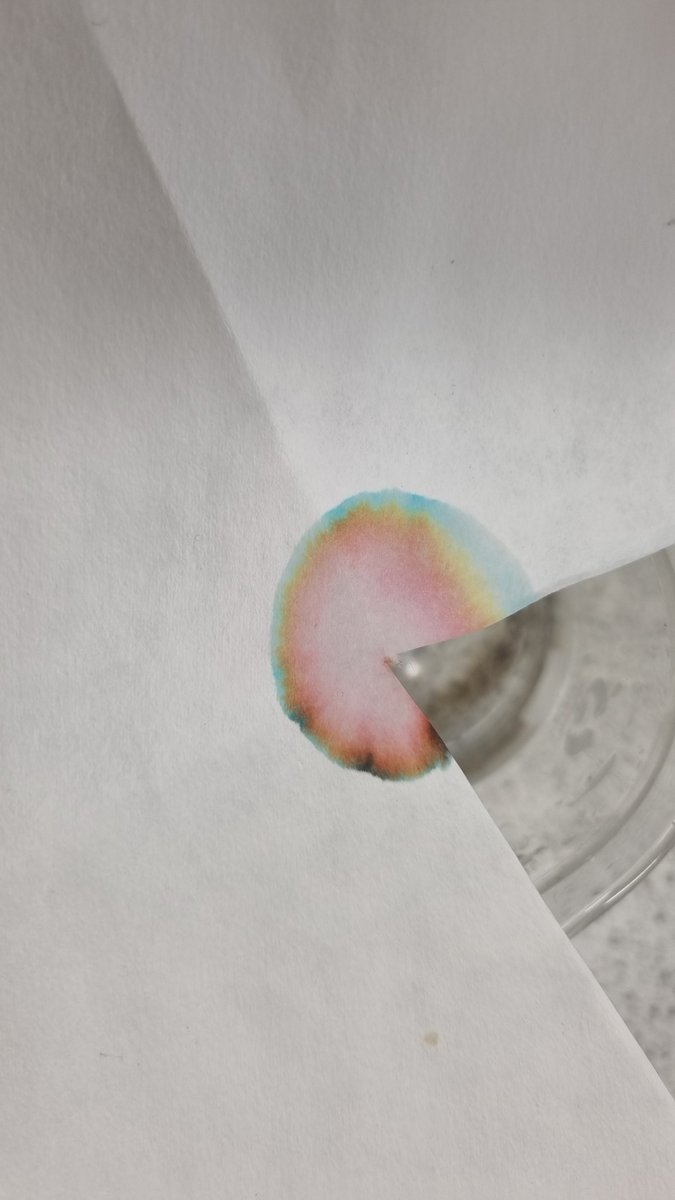 St Matthew's Science tweet media