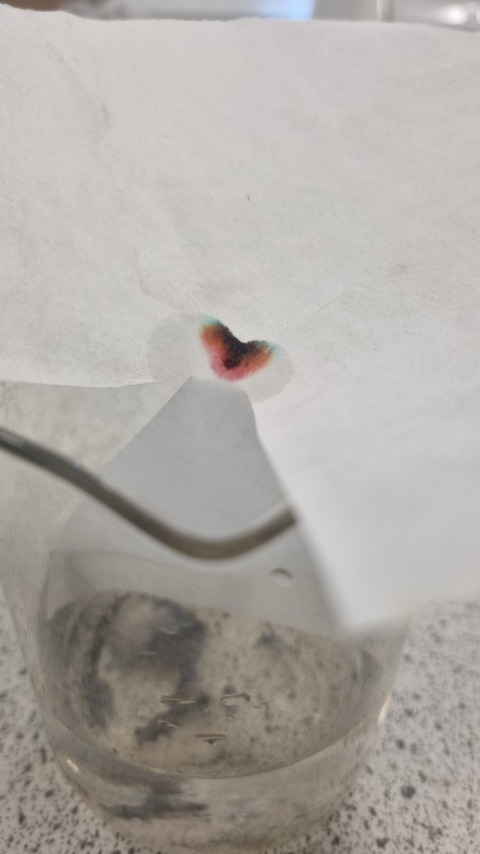 St Matthew's Science tweet media