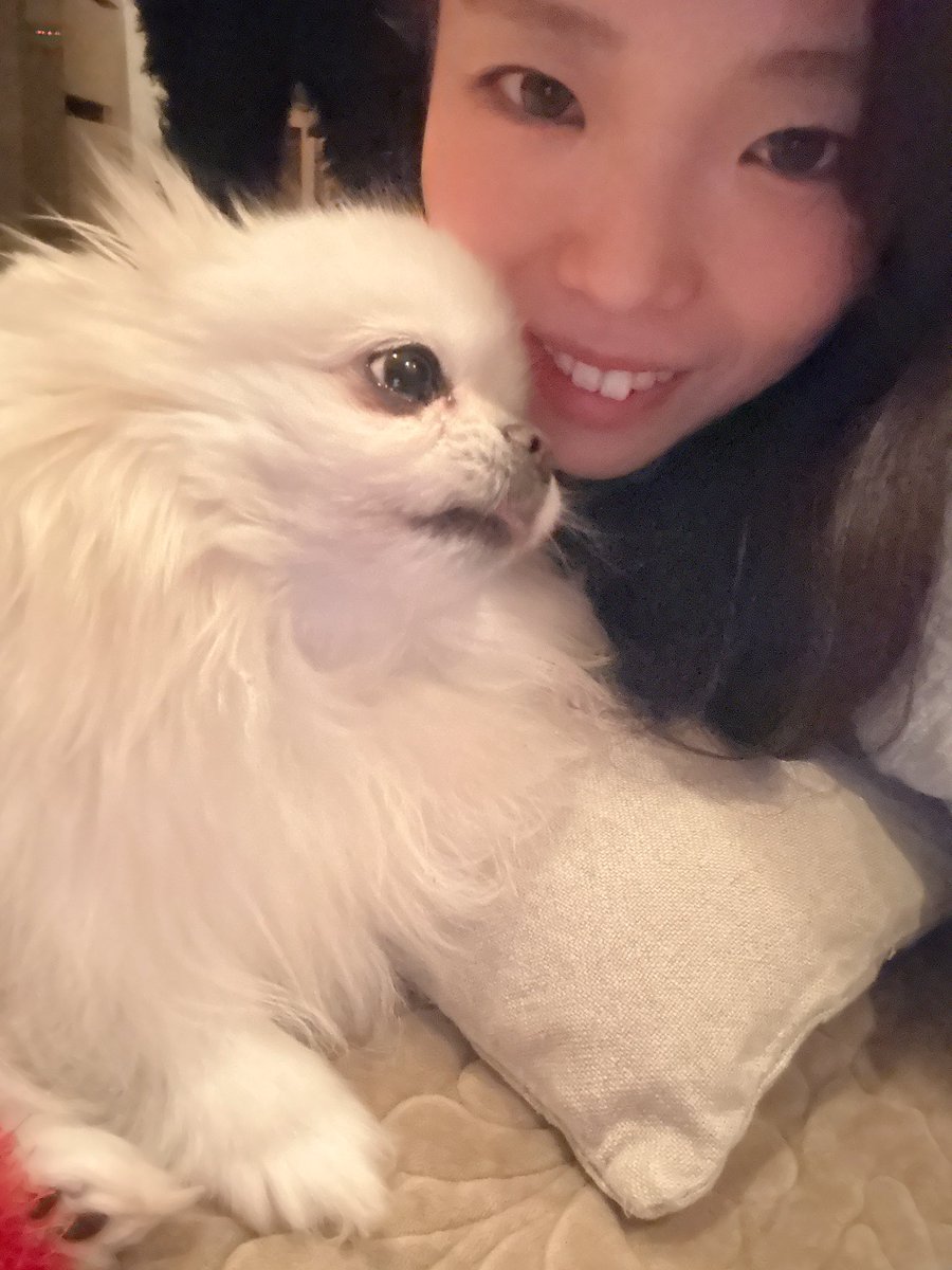 trimmersinger's tweet photo. おやすみなさい💤 https://t.co/BAbEkYaymG