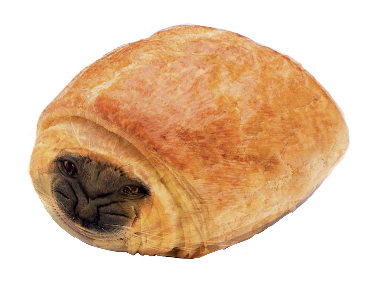 just_rubyyy's tweet photo. wow what a wonderful chocolate pastry! wait…what the fuck?? https://t.co/qd28ycXLov