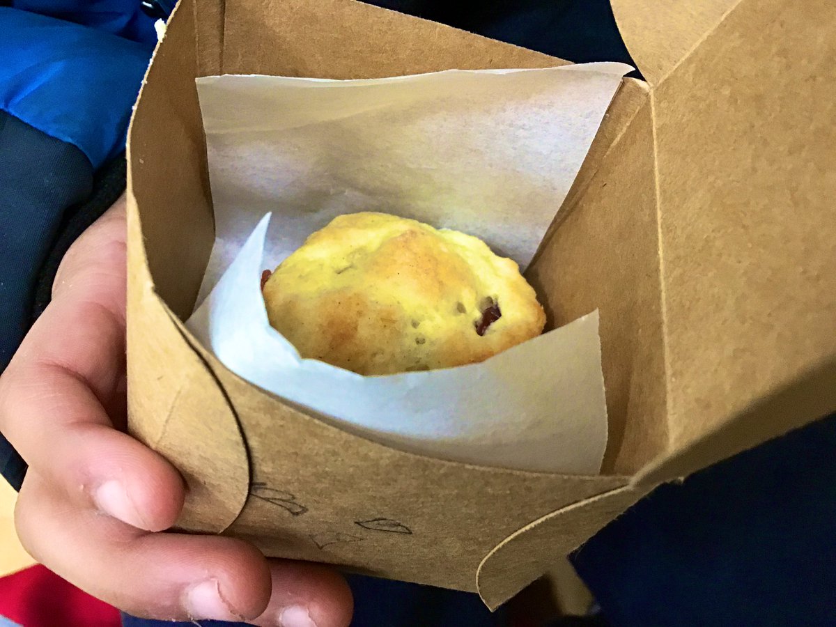 Bankfoot Primary School tweet media