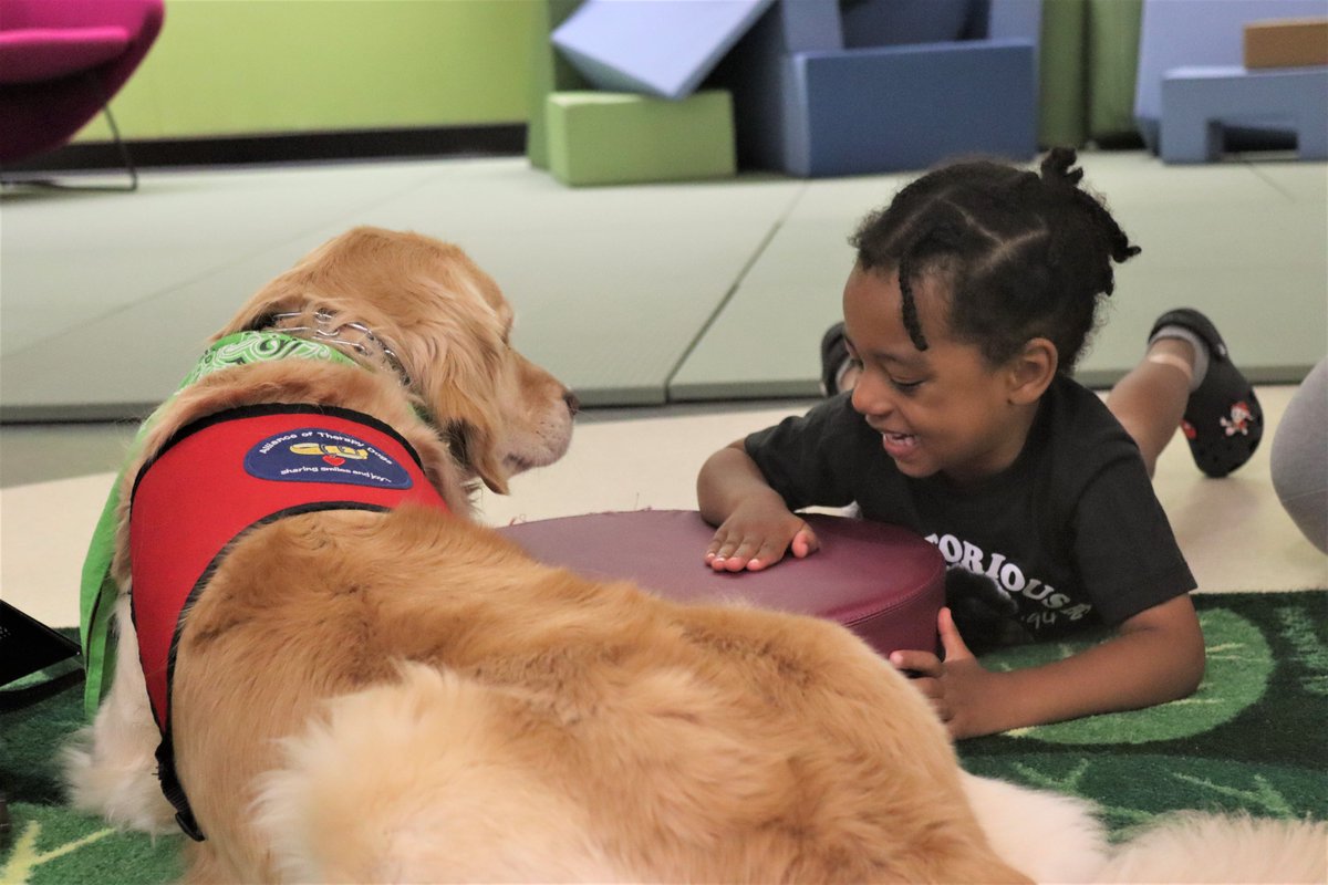 MPL Foundation tweet media