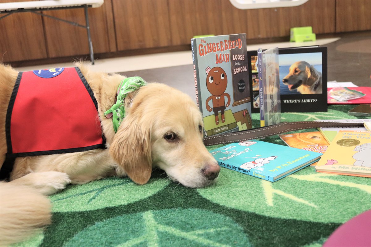 MPL Foundation tweet media