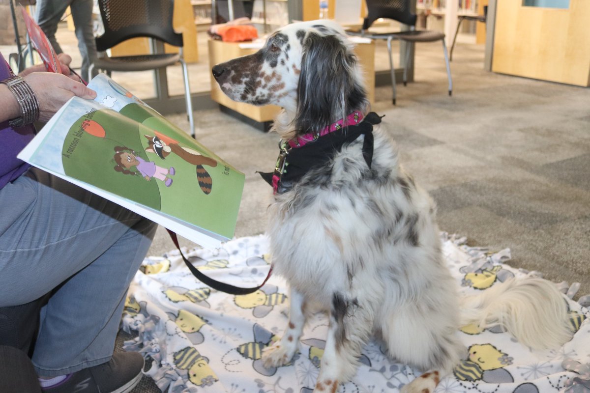 MPL Foundation tweet media