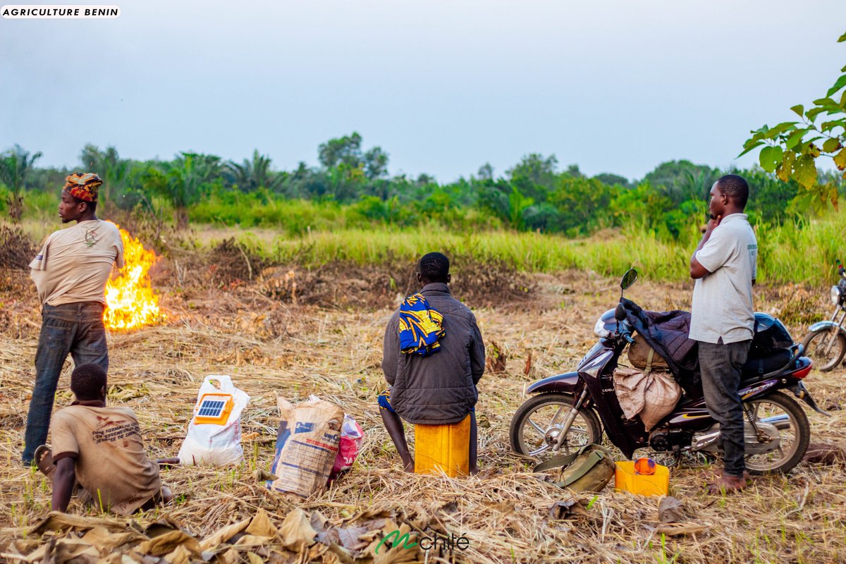 Embrassons l'échec comme un professeur précieux, car c'est dans ces moments que nous découvrons notre véritable potentiel.

En agriculture, chaque saison apporte ses propres leçons, et chaque récolte, qu'elle soit abondante ou modeste, nous enseigne quelque chose de nouveau.