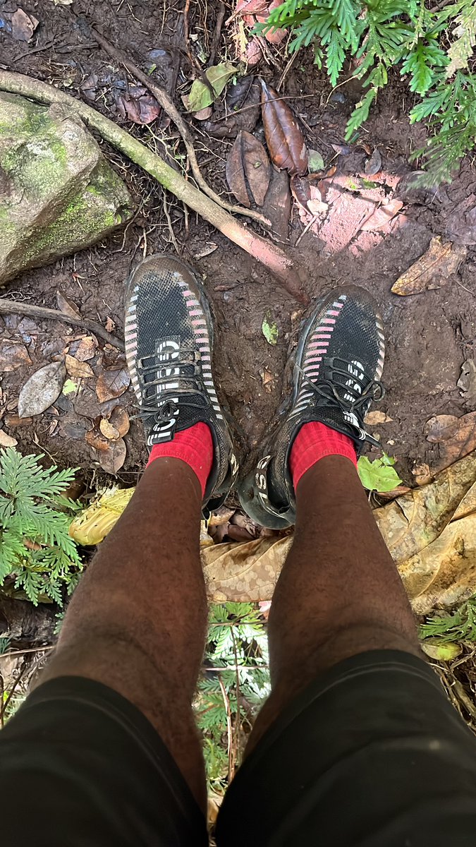 islandbuzztours's tweet photo. Explore the Rainforest!
Start clean and end dirty! 😂 

Nothing short of a vacation 🏝️ with Island Buzz Tours Nevis! 🇰🇳

Book your Excursions Now!
Check out our website at https://t.co/r9Cfi9adaE
Contact 1 (869) 665-2039

#islandbuzztours https://t.co/3yJ099fFCM