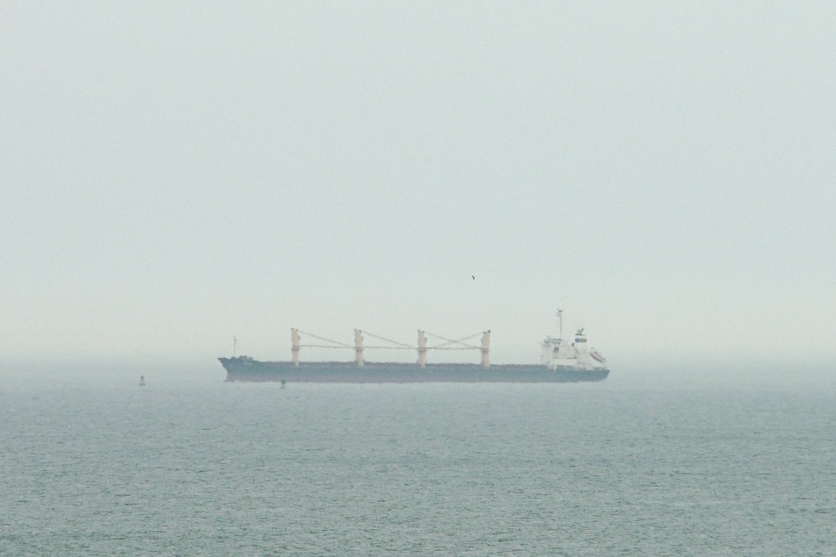 johnmorgan726's tweet image. The #BulkCarrier #ARKI, IMO:9561801 en route to Baltimore, Maryland @BShipspotting @BaltoChes flying the flag of Panama 🇵🇦. #ShipsInPics