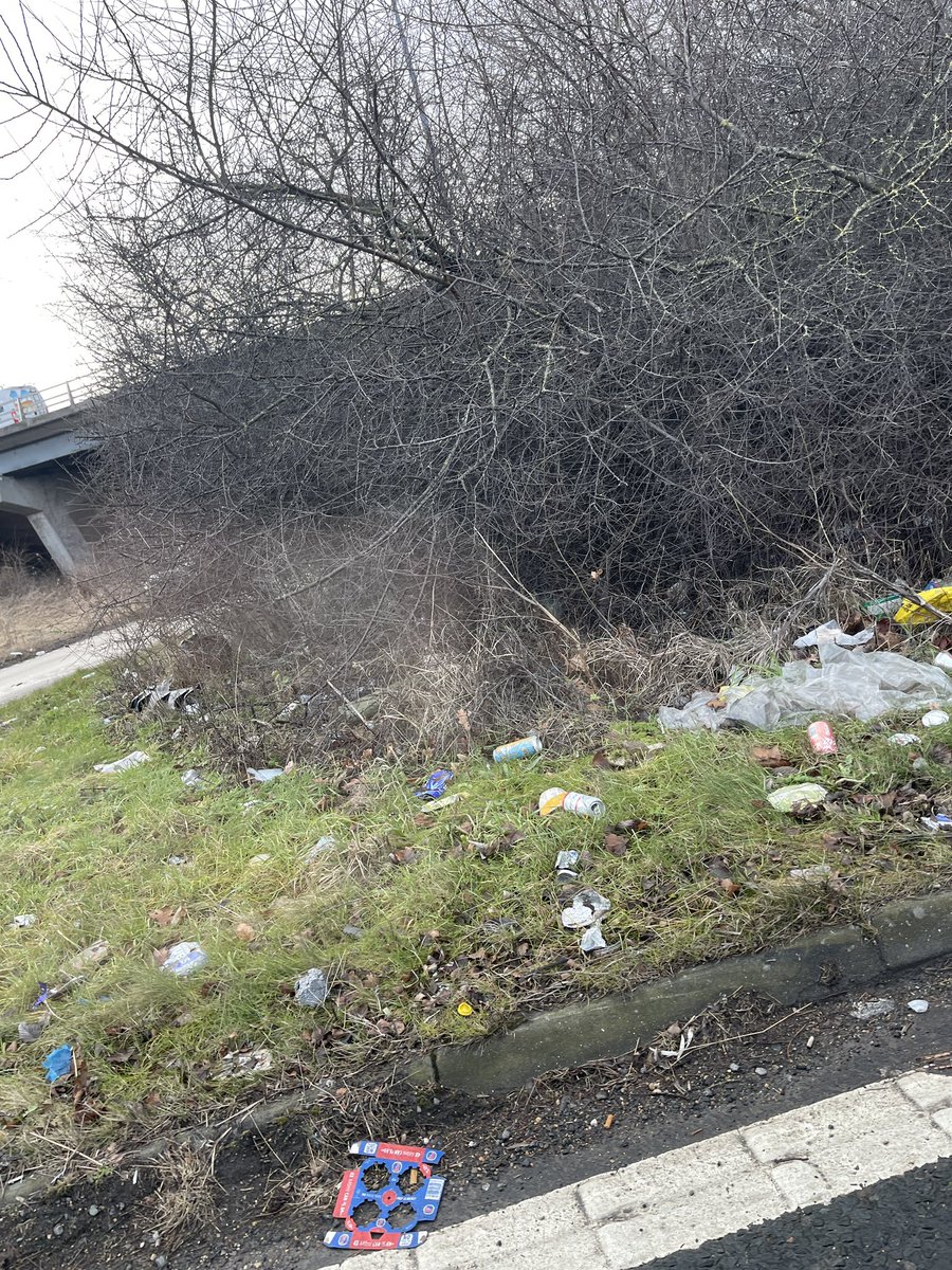 celiabauerfeind's tweet photo. @cleanupbritain @NationalHways Just off the A1 Swalwell, near Gateshead. Horrific https://t.co/FCbM3S3cYE