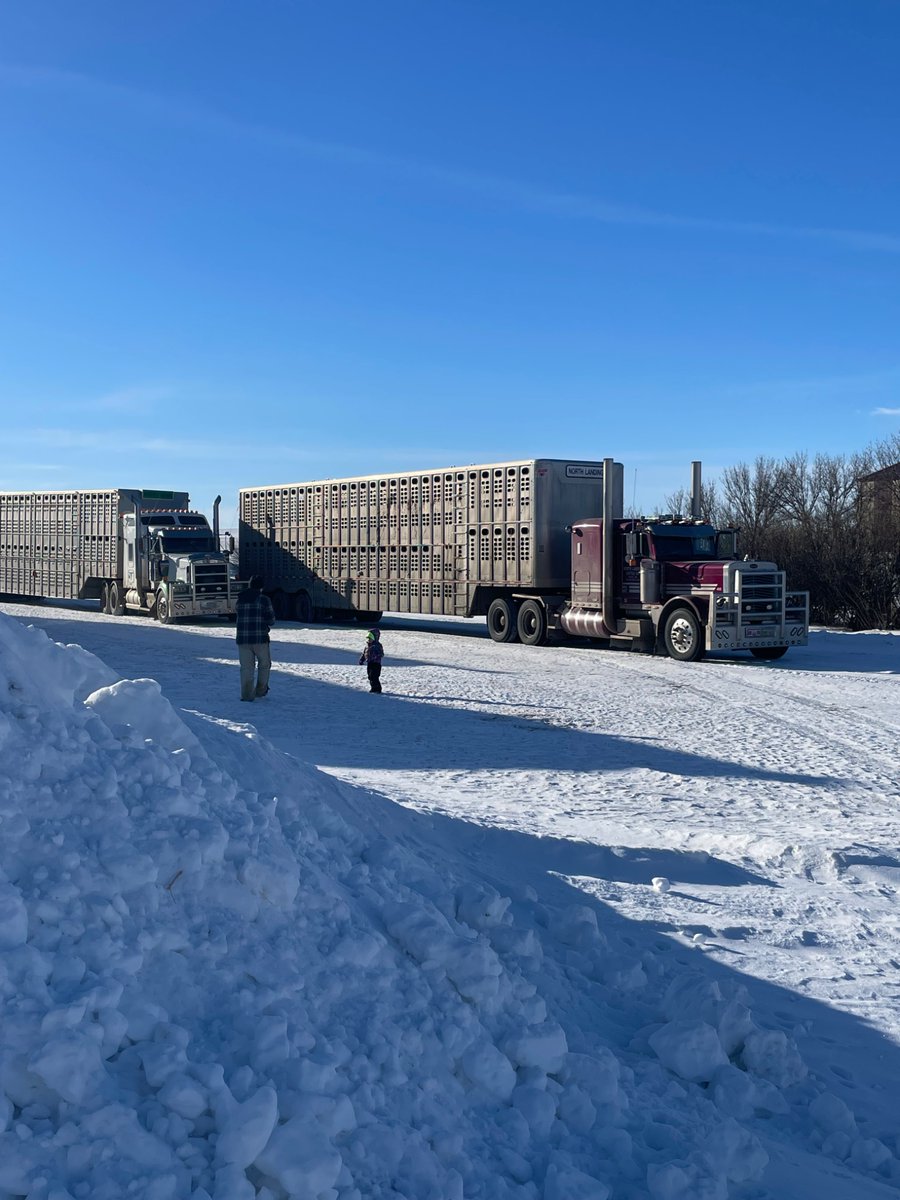 Lyle Argue tweet media