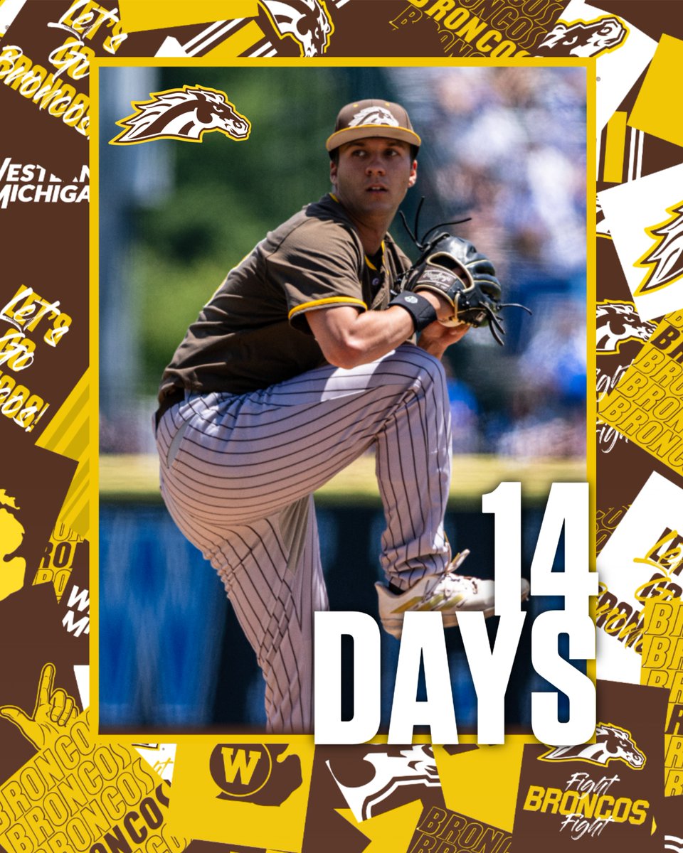 Western Michigan Baseball tweet media