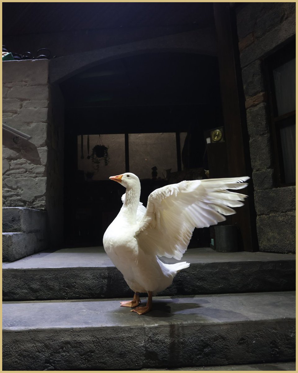 The Gaiety Theatre tweet media