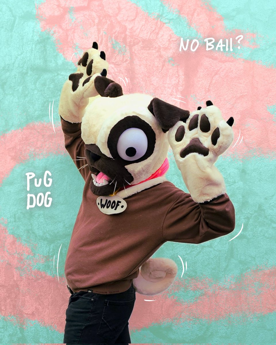 YuyoCreations's tweet image. WAF! WAF! RAHHH! *FARTS* My first ever dog fursuit is here and I LOVE IT 🐕!

This premade features head, paws, and tail! With posable pupils! And ill add one extra pupil of your choosing to it 🥰

Come bid at the Dealers Den!

#fursuitfriday #fursuit #fursona #furry
