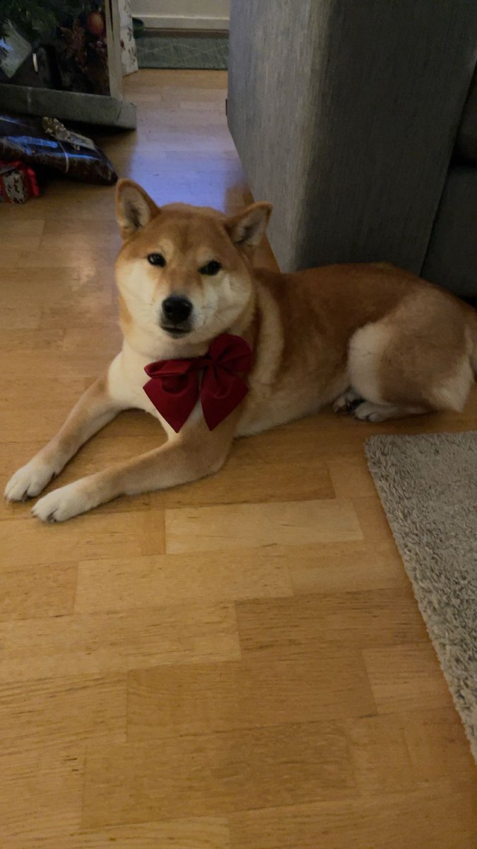 My dog is called ichigohime that means strawberry princess in japanese haha