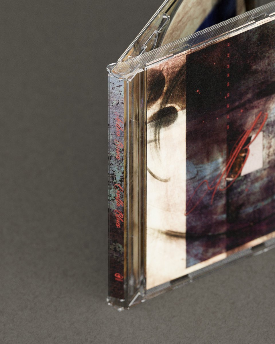 PLASTER FE tweet media