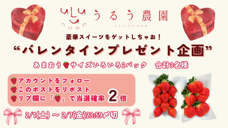 【🎁プレゼント企画🎁】
うるう農園からみなさまへ
バレンタイン特別企画

今回のプレゼントは
あまおう🍓
サイズいろいろ２パックを

✨3名様✨にプレゼント🎉🎉

【 応募方法】
🍓<a href="/uluu_noen/">うるう農園 | いちご狩り九州1位</a>　をフォロー
🍓このポストをリポスト
🍓リプ欄に「🍓」で当選確率2倍
〆切2月7日(金)23:59まで