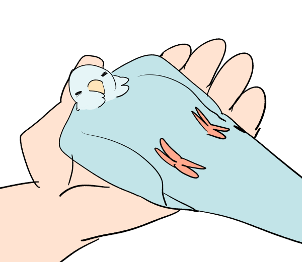 「これはにぎころのときの剛毛 」|エイリゾのイラスト