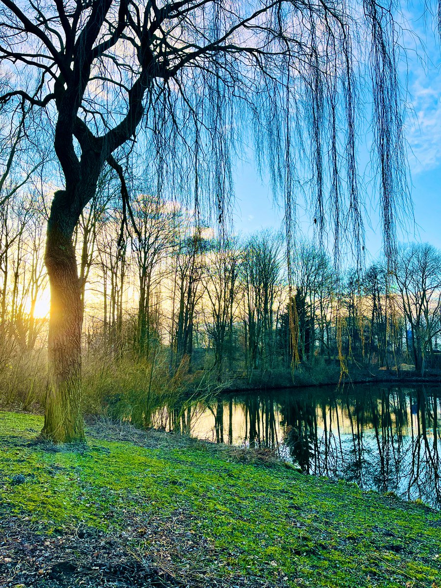 th3arenthis's tweet photo. Embrace the tranquility of nature's embrace. Let the gentle sway of the willow guide you to a place of serene inner peace. ๐ฟโจ #NatureHeals #InnerPeace #WillowWisdom https://t.co/TbkjlBgiRk