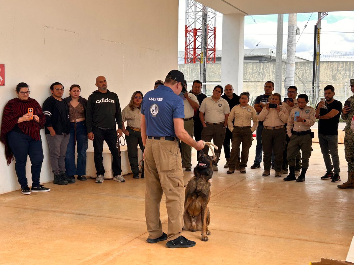 Unidad de Medio Ambiente y Bienestar Animal tweet media