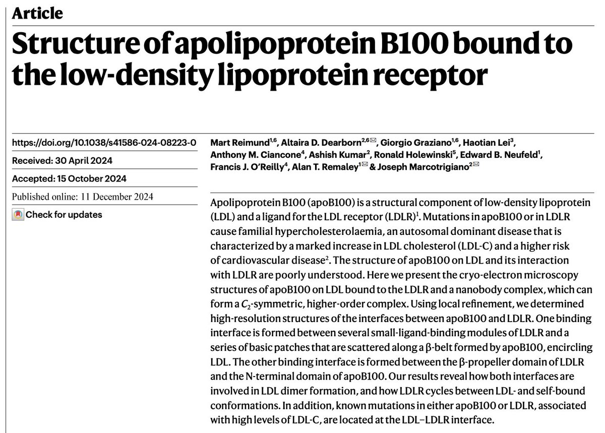 A pair of <a href="/Nature/">nature</a> papers finally describe the structure of apoB-100 (the key protein of LDL) and how it interfaces with LDLR using new structural techniques along with AlphaFold2.
nature.com/articles/s4158…
nature.com/articles/s4158…
(coverage nature.com/articles/d4158… <a href="/NatureNV/">Nature News & Views</a>)