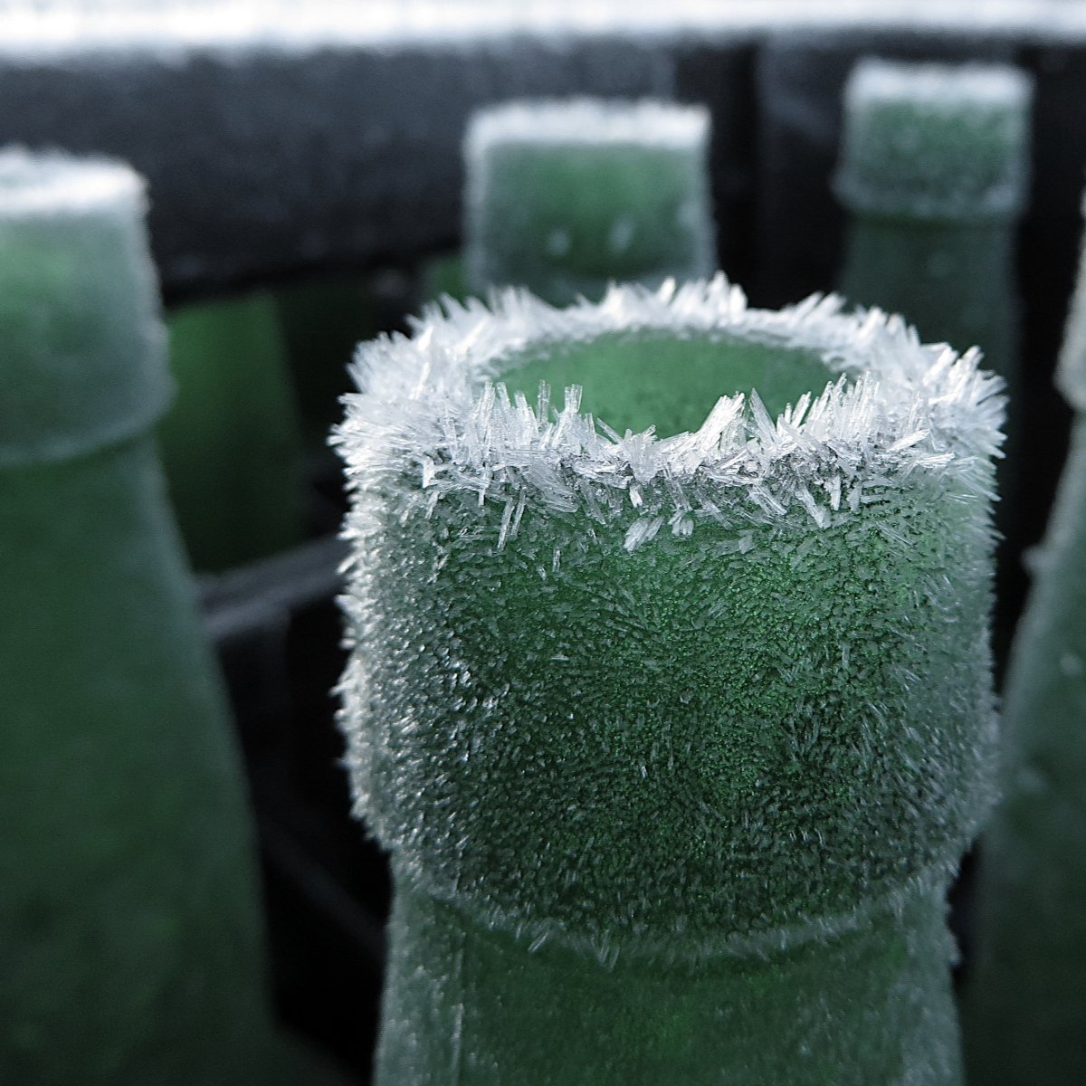 𝑭𝒂𝒊 𝒖𝒏 𝒄𝒖𝒕𝒖 𝒒𝒖'𝒆𝒔𝒄𝒂𝒓𝒂𝒃𝒂𝒚𝒂'𝒍 𝒑𝒆𝒍𝒍𝒆𝒚𝒖 🥶, es como decimos en Asturias que hace muchísimo frío, necesario para que nuestra sidra y pumares evolucionen correctamente 👌🏻
Época ideal para realizar <a href="/SidraturismoAst/">Sidraturismo Asturias</a> 👇🏻, ¿te apuntas?
reserva.sidraturismoasturias.es